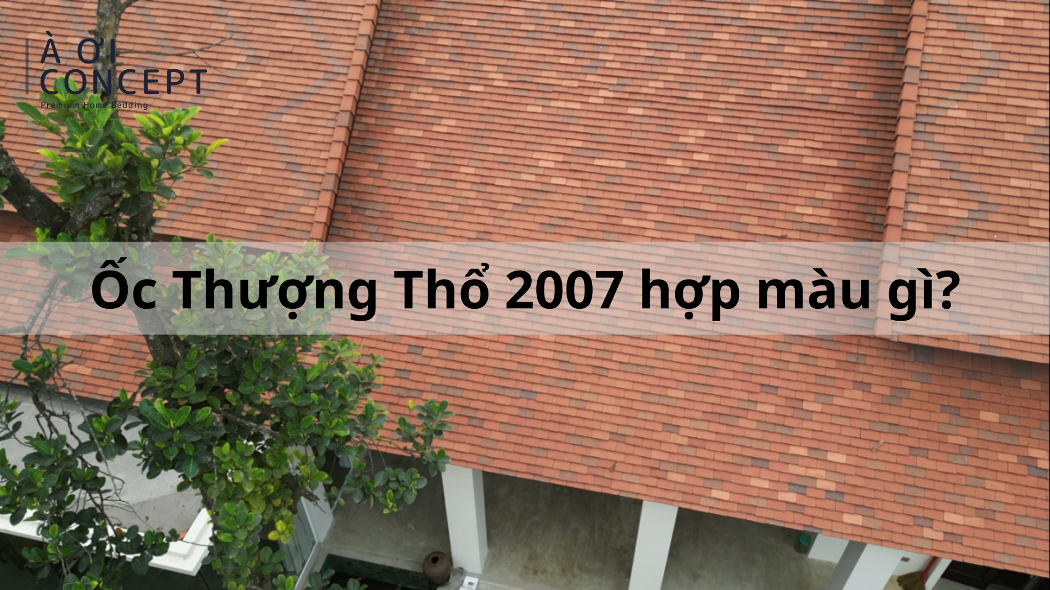 Ứng dụng màu sắc hợp mệnh Thổ tuổi 2007 trong cuộc sống, trang phục và không gian